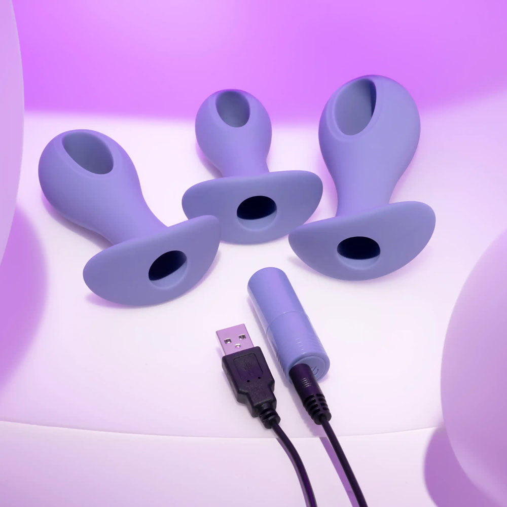 Evolved HOLE PUNCH PLUG SET - Purple Butt Plugs Set of 3