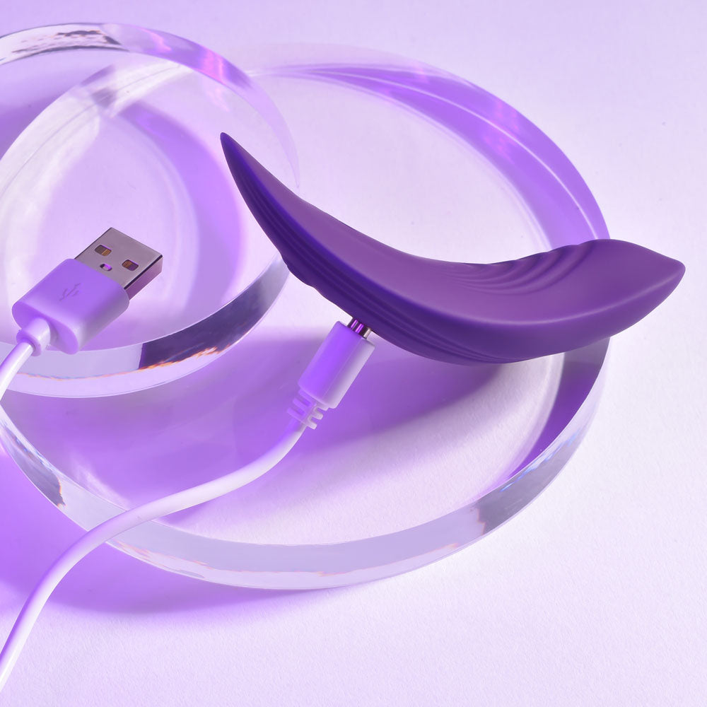 Playboy Pleasure OUR LITTLE SECRET - Purple Panty Vibrator Control