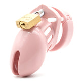 CB-6000S Chastity Cock Cage Kit - Pink - Pink 2.5 Inch Cock Cage Kit - Image 3
