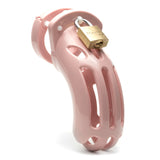 The Curve Chastity Cock Cage Kit - Pink - Pink 3.75 Inch Cock Cage Kit - Image 2