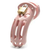 The Curve Chastity Cock Cage Kit - Pink - Pink 3.75 Inch Cock Cage Kit - Image 3