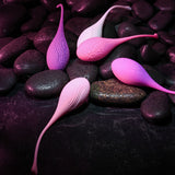 Evolved TIGHT & DELIGHT - Kegel Trainer Set - 5 Piece Kit - Image 5