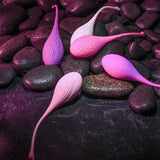 Evolved TIGHT & DELIGHT - Kegel Trainer Set - 5 Piece Kit - Image 6