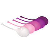 Evolved TIGHT & DELIGHT - Kegel Trainer Set - 5 Piece Kit - Image 9