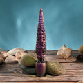 Gender X INTO THE DEEP - Purple 21.7 cm USB Rechargeable Tentacle Fantasy Massage Wand