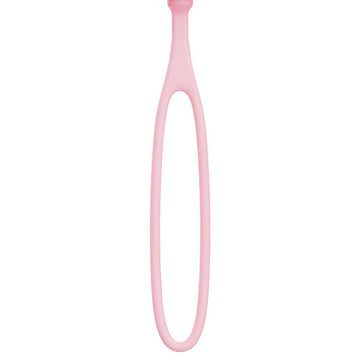 Adam & Eve PILLOW TALK EGG - Pink USB Rechargeable Vibrating Egg with Wireless Remote Control