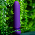 Purple cylindrical object on a green leafy background