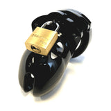 Mr. Stubb Chastity Cock Cage Kit - Black - Black 1.75 Inch Cock Cage Kit - Image 3