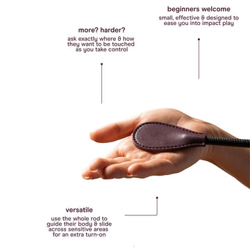 abbie x Normal The Kink Kit - 4 Piece Bondage Kit