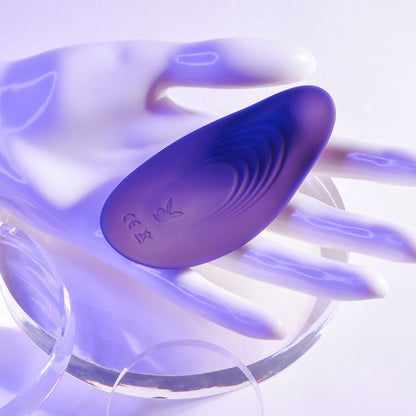 Playboy Pleasure OUR LITTLE SECRET - Purple Panty Vibrator Control