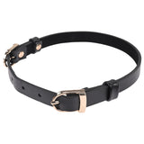 Sex & Mischief Double Buckle Day Collar - Black Collar - Image 5