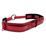 S&M Exs & Ohs Bound and Belted - - Image 3