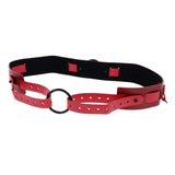 S&M Exs & Ohs Bound and Belted - - Image 5