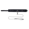 EDGE Collar & Leash - Black Neck Restraint with Heavy Duty Metal Leash