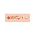 XKIN Raw - The Grip - Flesh 12 cm Mouth Stroker